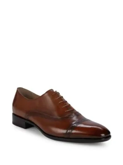 Shop Roberto Cavalli Lace-up Leather Oxfords In Cognac