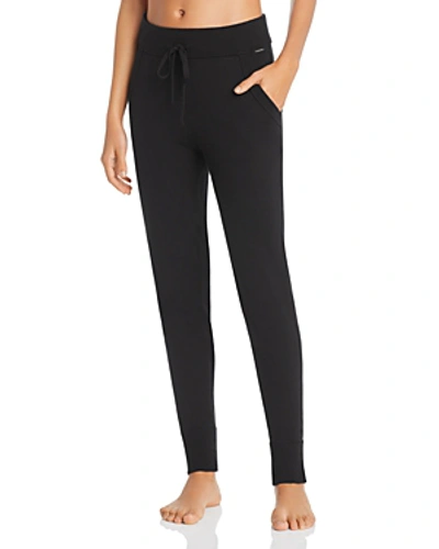 Shop Calvin Klein Knit Jogger Pants In Black