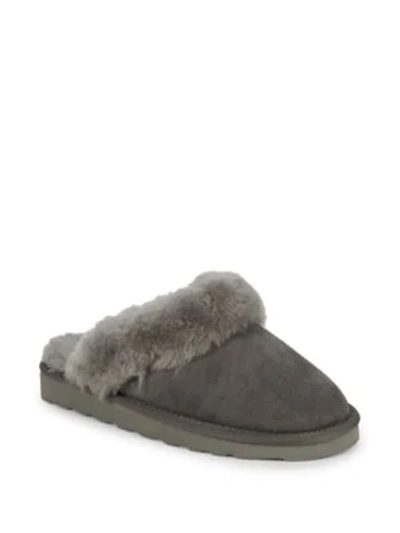 Shop Australia Luxe Collective Dyed Shearling Closed Mule Slippers In Grey