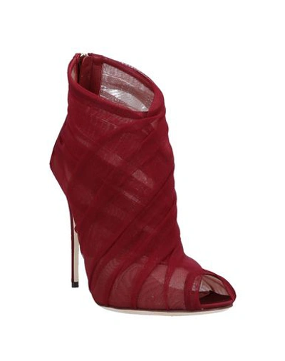 Shop Dolce & Gabbana Woman Ankle Boots Burgundy Size 7.5 Polyamide, Elastane, Viscose, Silk In Red