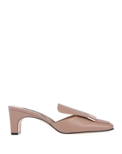 Sergio Rossi Woman Mules & Clogs Light Brown Size 5 Soft Leather In Light Brown