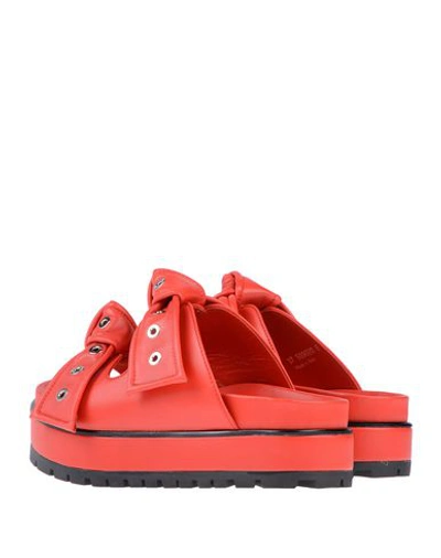 Shop Alexander Mcqueen Sandals In Red