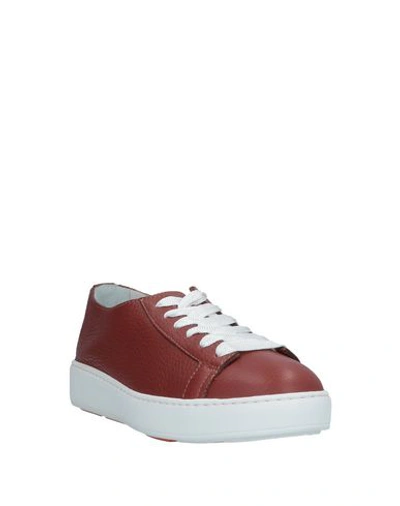 Santoni Sneakers In Brown