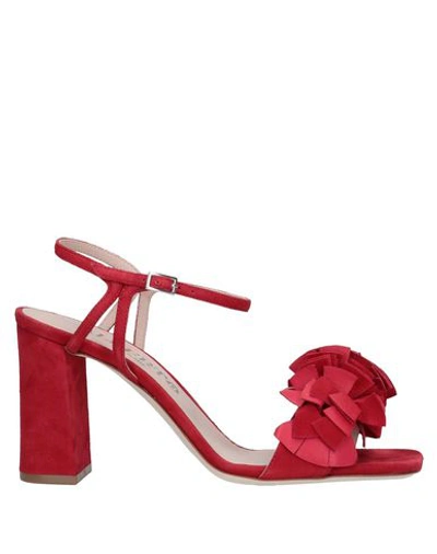 Shop Alberto Gozzi Sandals In Brick Red