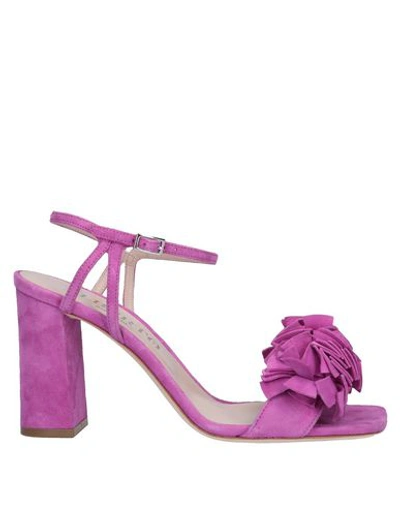 Shop Alberto Gozzi Sandals In Purple