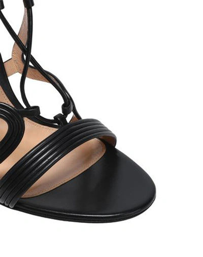 Shop Gianvito Rossi Sandals In Black