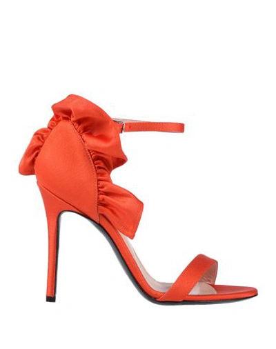 Shop Msgm Sandals In Coral