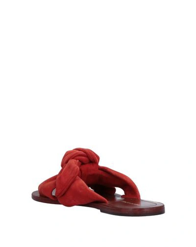 Shop Intropia Sandals In Rust