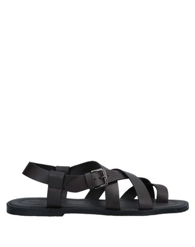 Shop Fabi Flip Flops In Dark Brown