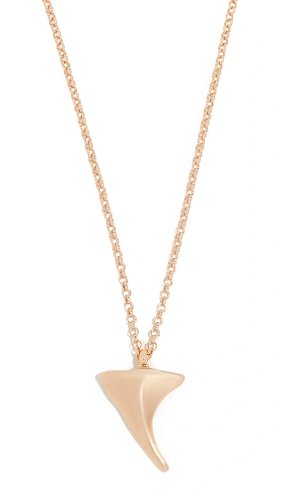 Shop Reliquia Shark Tooth Necklace In Yellow Gold