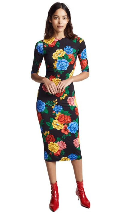 Shop Alice And Olivia Delora Fitted Crew Neck Dress In Camellia Bouquet Black