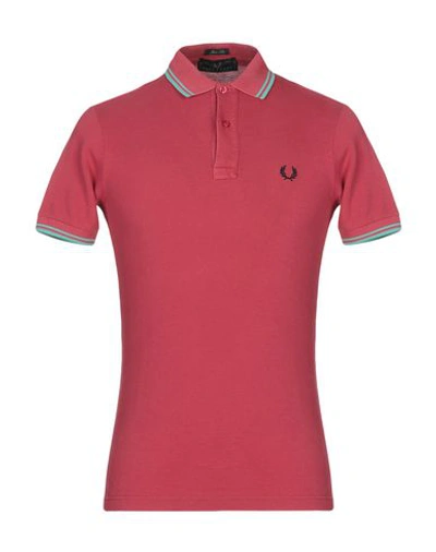 Shop Fred Perry Polo Shirts In Garnet