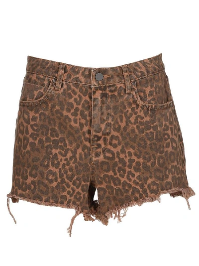 Shop Alexander Wang T T By Alexander Wang Leopard Print Shorts In Multi