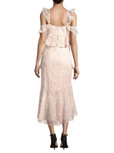 Shop Amur Hayden Lace Midi Dress In Blush