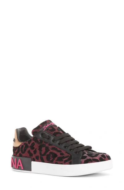 Shop Dolce & Gabbana Leopard Lace-up Sneaker In Fuchsia/ Black