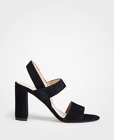 Shop Ann Taylor Lorna Suede Sandals In Black