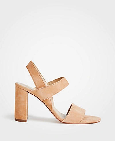 Shop Ann Taylor Lorna Suede Sandals In Toasted Sesame
