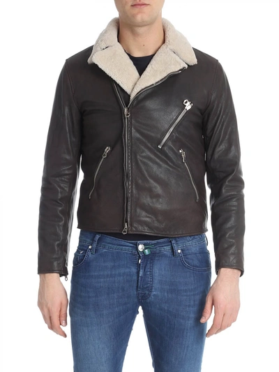 Shop Stewart Leather Jacket In Brown