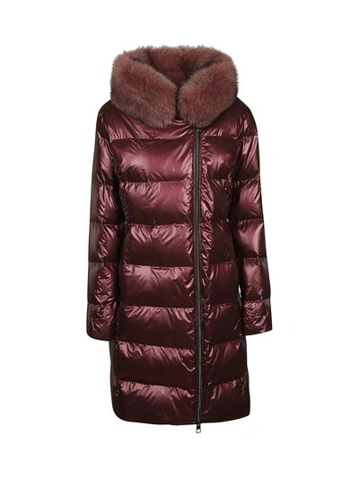Shop Violanti Zip-up Padded Jacket In Red