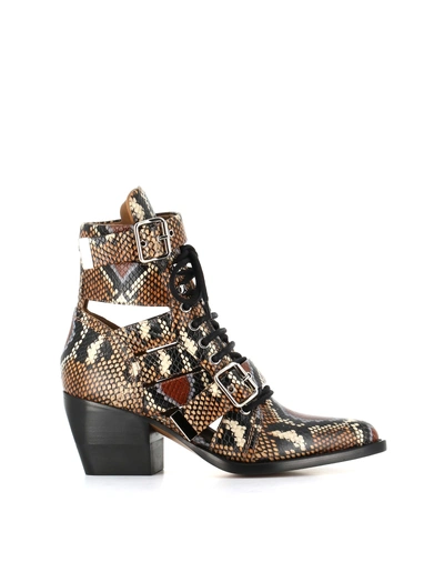 Shop Chloé Ankle Boots Rylee In Python