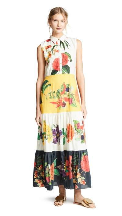Shop Carolina K Natalie Sleeveless Dress In Big Flower Multi