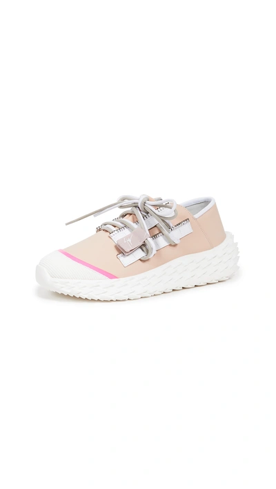 Shop Giuseppe Zanotti Urchin Sneakers In Skin