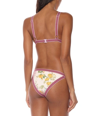 Shop Zimmermann Heathers Bikini Bottoms In Multicoloured