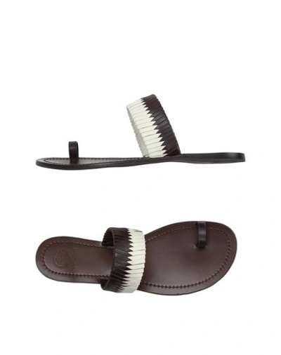 Shop Tory Burch Toe Strap Sandals In Dark Brown