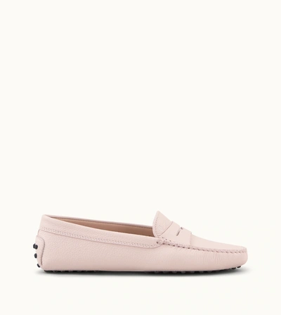 Shop Tod's Gommino Driving Shoes In Leather In Pink