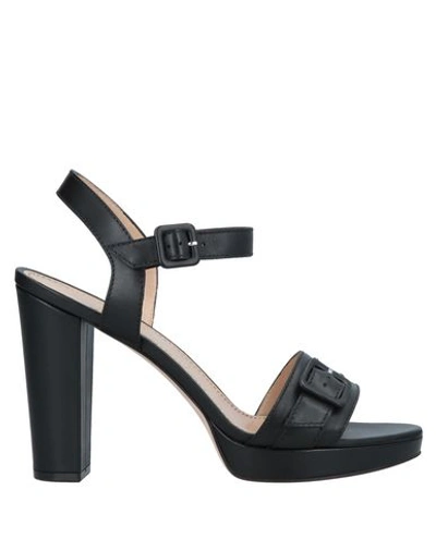 Shop Antonio Barbato Sandals In Black