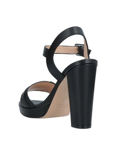 Shop Antonio Barbato Sandals In Black