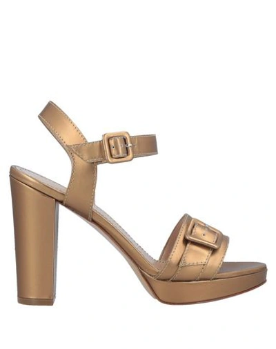 Shop Antonio Barbato Sandals In Bronze