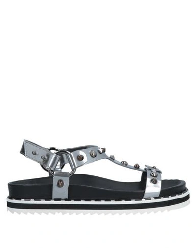 Shop Barracuda Woman Sandals Lead Size 7 Soft Leather In Grey