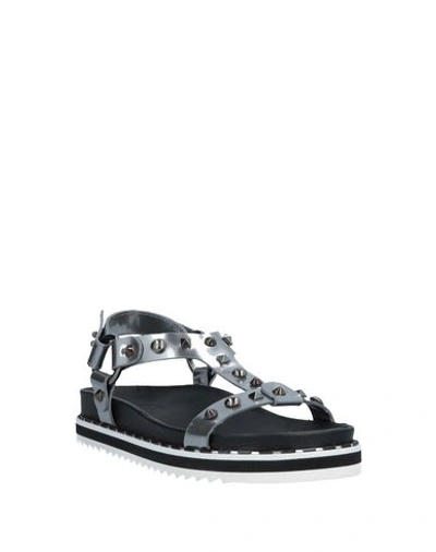 Barracuda Sandals In Grey