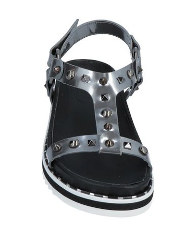 Barracuda Sandals In Grey