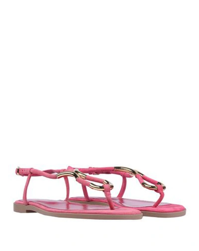 Shop Sergio Rossi Toe Strap Sandals In Fuchsia