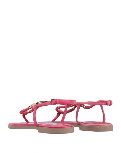 Shop Sergio Rossi Toe Strap Sandals In Fuchsia