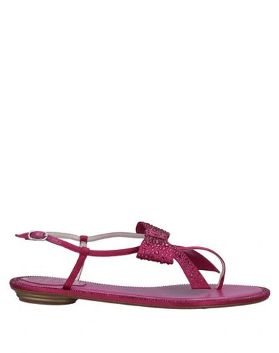 Shop René Caovilla Flip Flops In Fuchsia