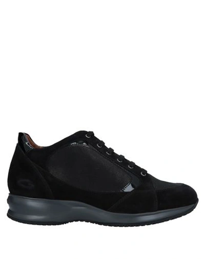 Shop Alberto Guardiani Sneakers In Black