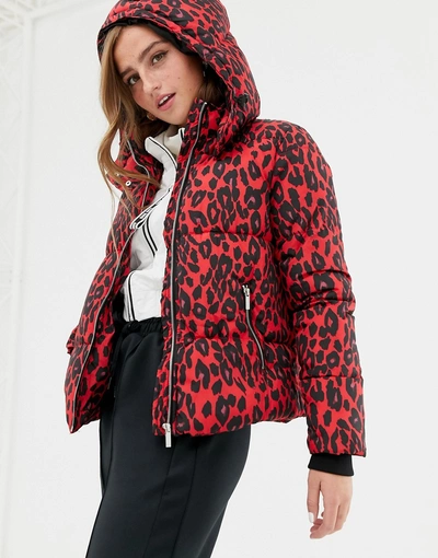 Shop New Look Puffer Jacket In Leopard Print - Red