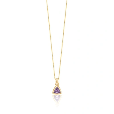 Shop Edge Of Ember Amethyst Charm Necklace