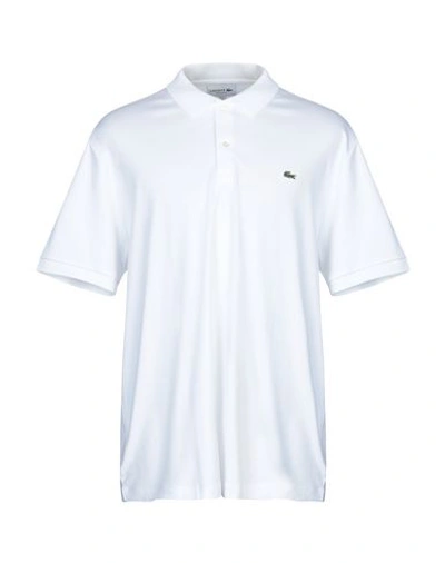 Shop Lacoste Man Polo Shirt White Size 8 Cotton