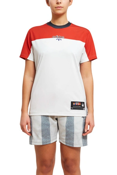 Shop Adidas Originals By Alexander Wang Photocopy Tee In Stbrick/cleargrey
