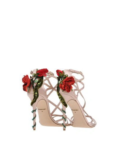 Dolce & Gabbana Sandals In Light Pink
