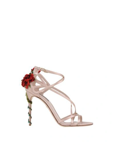 Dolce & Gabbana Sandals In Light Pink