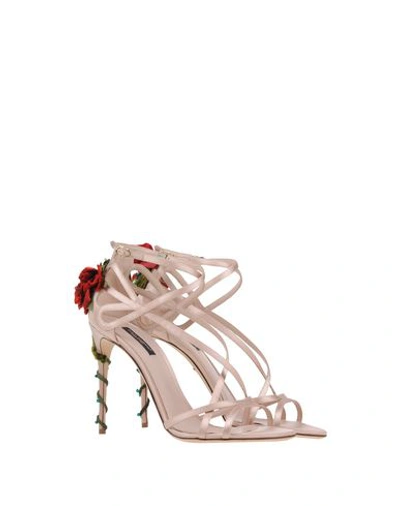 Dolce & Gabbana Sandals In Light Pink
