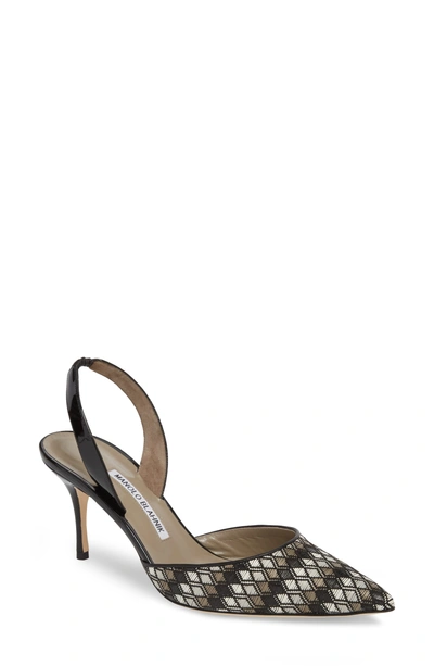 Shop Manolo Blahnik 'carolyne' Pointy Toe Slingback Pump In Black/ Grey/ White