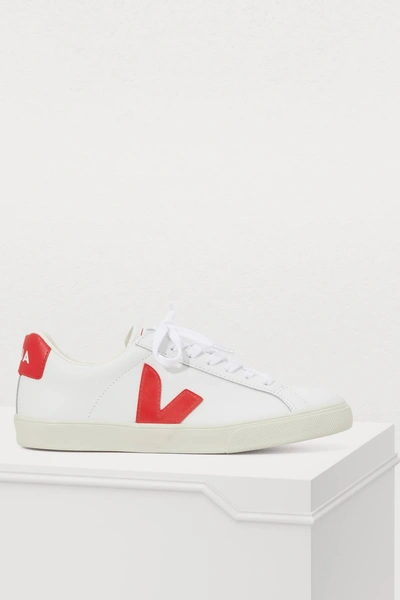 Shop Veja Esplar Sneakers In Extra White Pekin