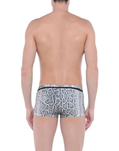 Shop Roberto Cavalli Beachwear Swim Trunks In Light Grey