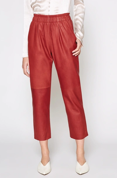 Joie Araona Cropped Leather Jogger Pants In Sepia ModeSens